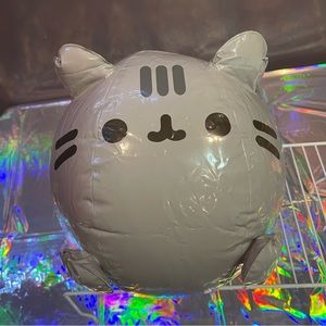 Limited Edition Pusheen Beach Ball Pool Float